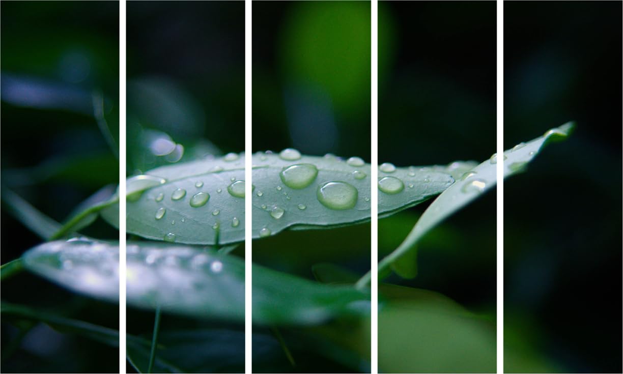Leaf-tastic Multi-Frame Botanical Photography Framed Wall Art That'll Make Your Walls Bloom (127x76cm)