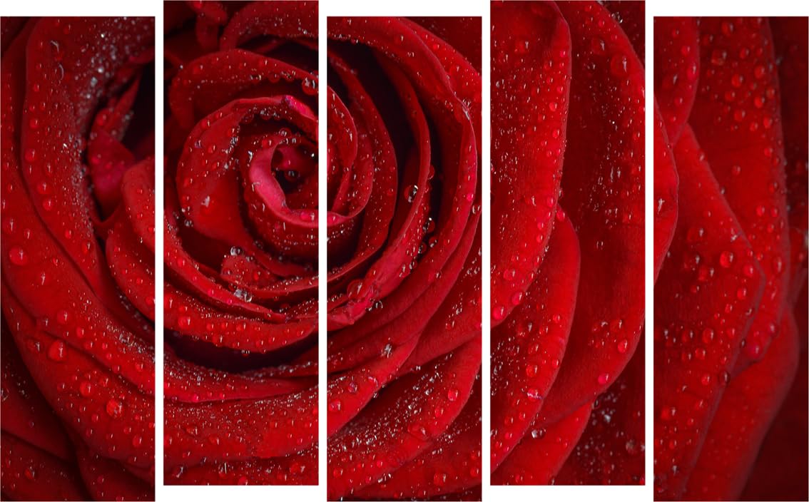 Rosy Radiance Multi-Frame Photography Framed Wall Art That'll Blossom Your Walls (127x76cm, Set of 5)