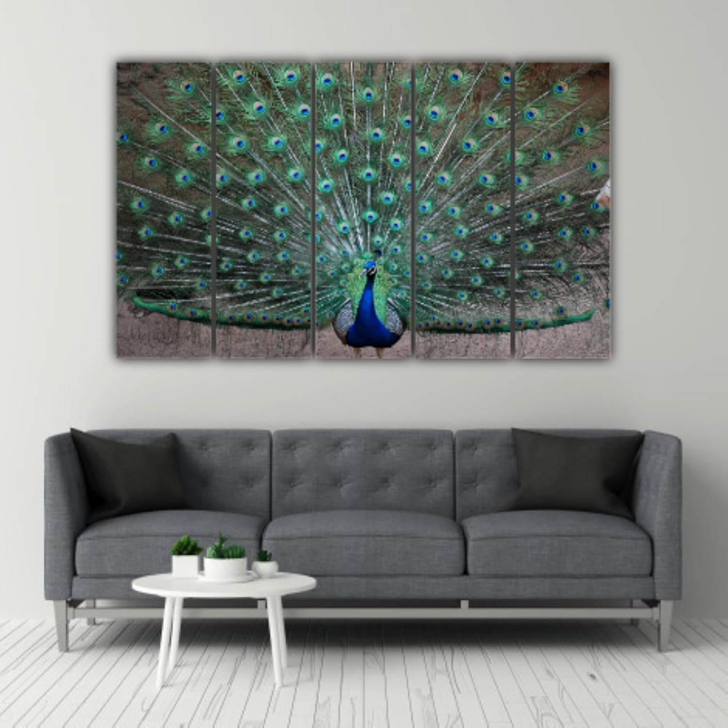 Close-up of vibrant peacock feathers on multi-frame wall art ready to strut