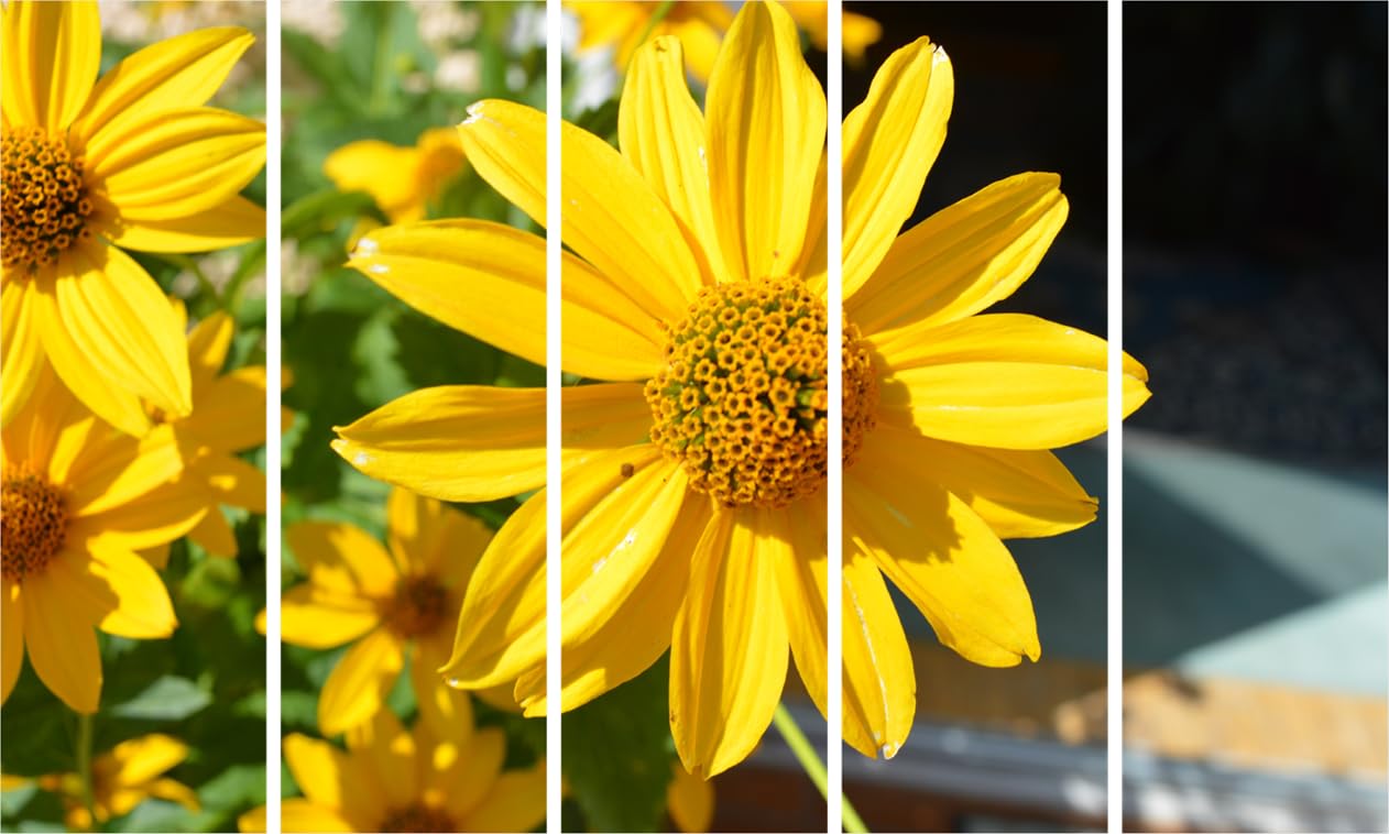 Flower Power 5-Split Framed Wall Art That'll Bloom On Your Walls