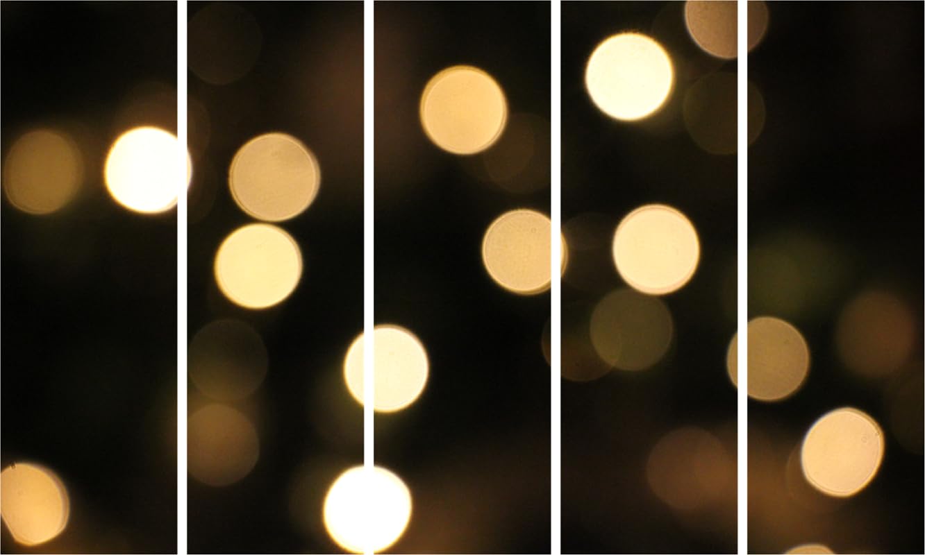 Glow-tastic 5-Panel Framed Photography Wall Art