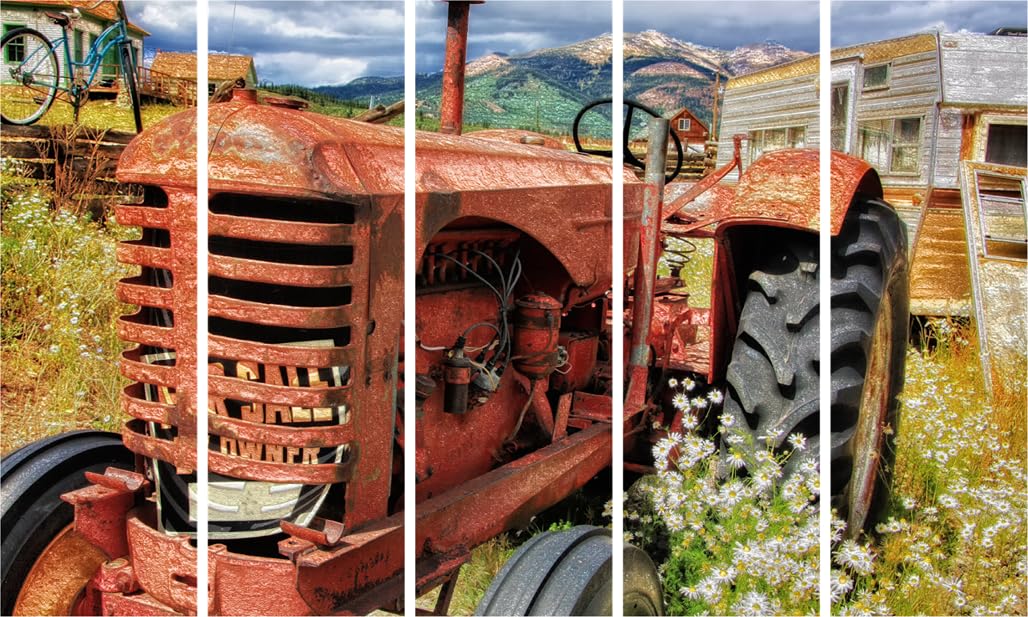 Farm-tastic Five-Frame Photography Framed Wall Art That'll Grow On You displays a colorful farm scene across five panels.