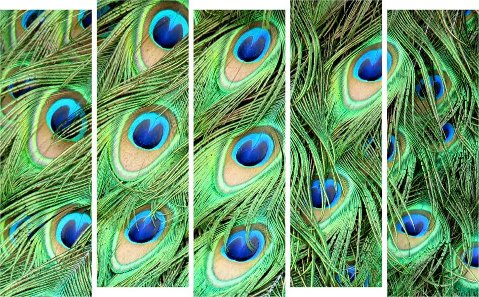 Peacock-tastic Multi-Frame Wall Art That'll Make Your Walls Strut Their Stuff (150x76cm)