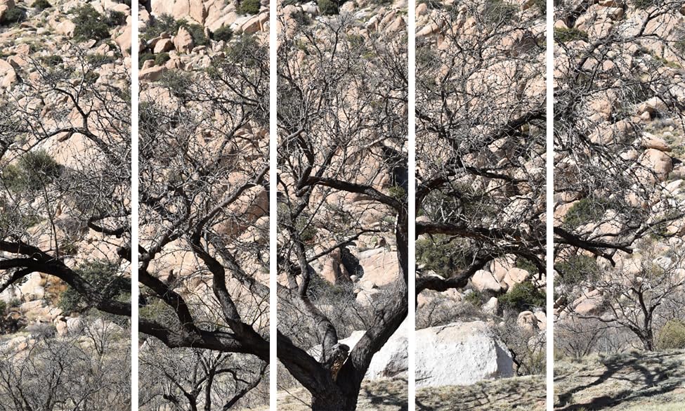 Tree-mendous Multi-Frame Abstract Wall Art That'll Flourish Your Space (150x76cm Framed)