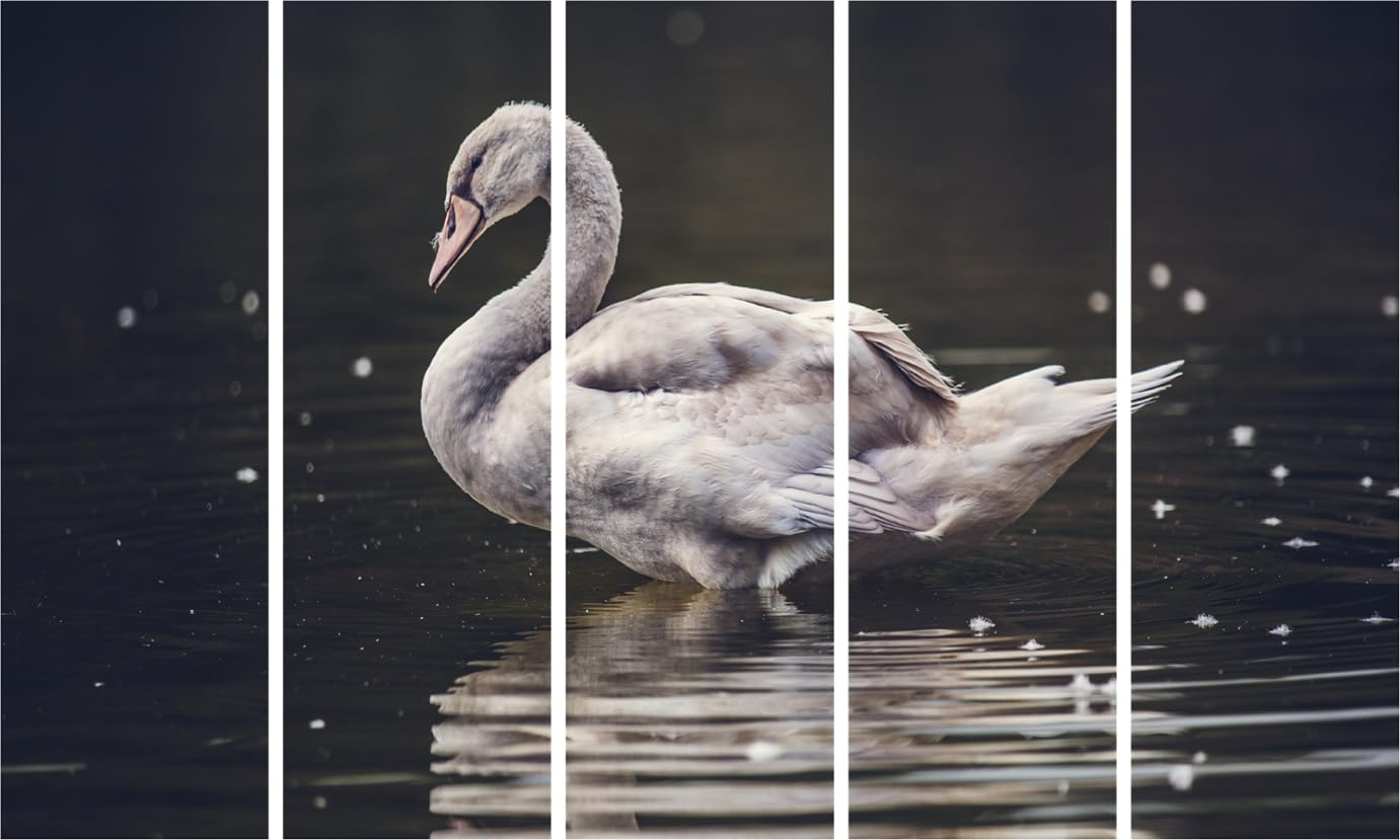 Duck-tastic Framed Wall Art That'll Make Your Walls Quack with Joy