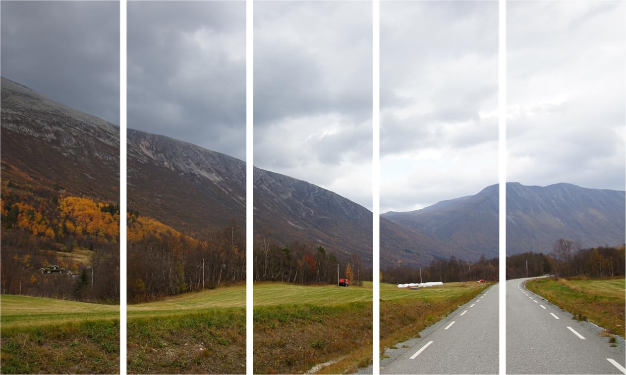 Landscape Lovers Multi-Panel Wall Art  Framed Brilliance in Every Panel (150x76cm)