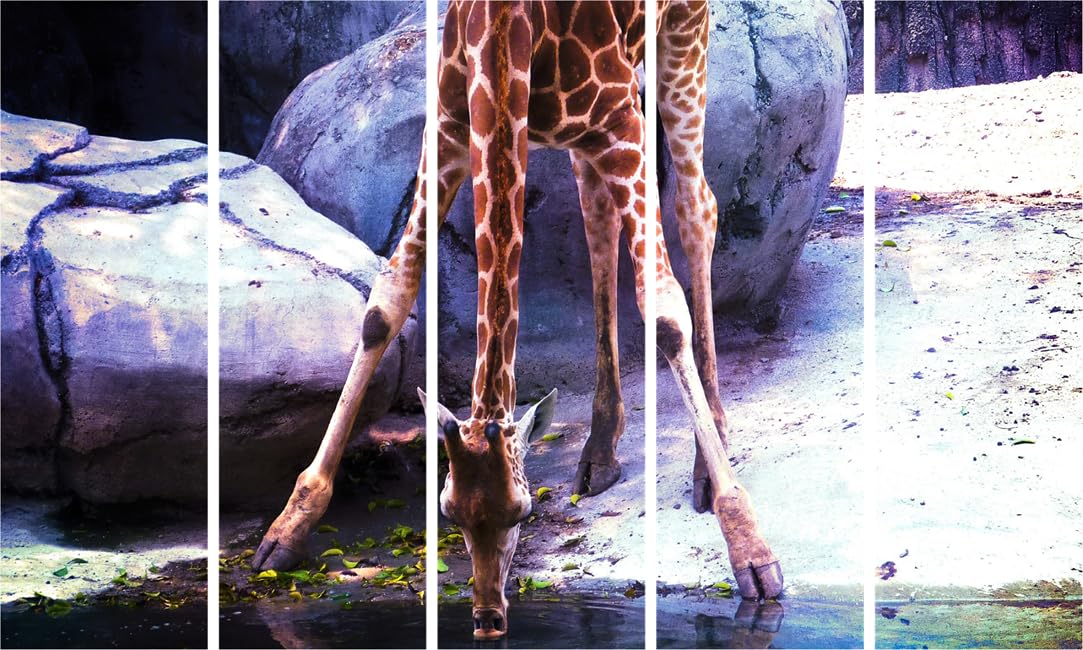 Giraffe-a-licious 5-Panel Framed Wall Art That'll Make Your Walls Go Wild