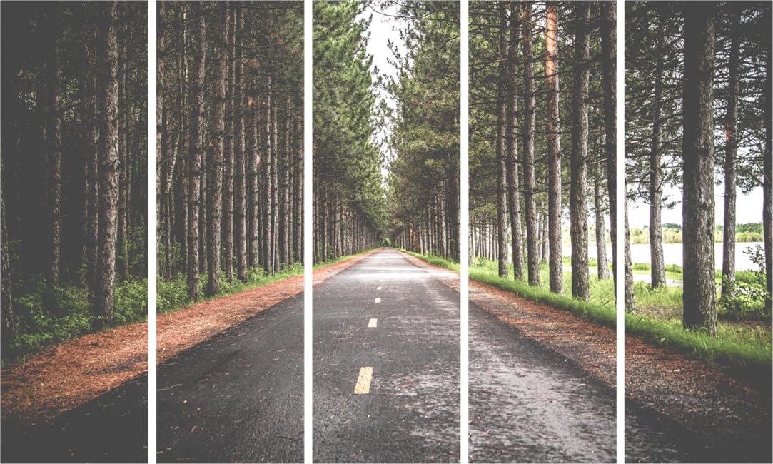 Road Rhapsody: Epic 5-Panel Woods Road Photography Framed Wall Art