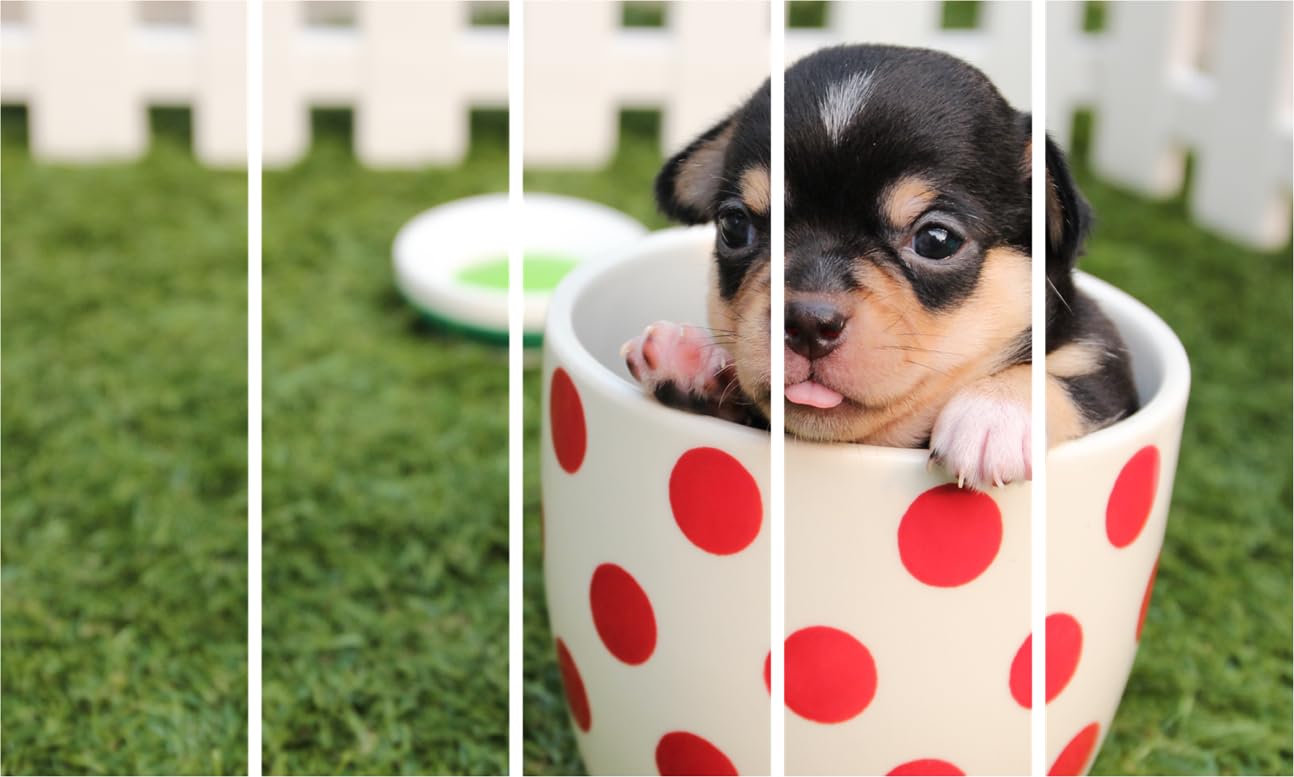Puppy-tastic Photography Framed Wall Art  Multi-Frame Puppy Parade (127x76cm)