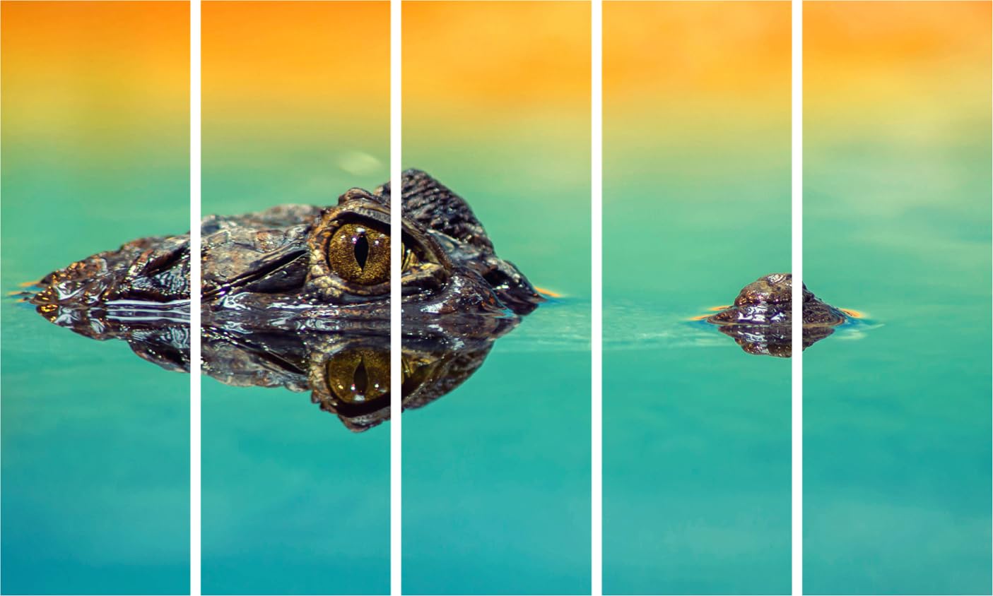 Crocodile-Cool Photography Framed Wall Art That Snaps Up Compliments - Multi-Frame Masterpiece (127x76cm)