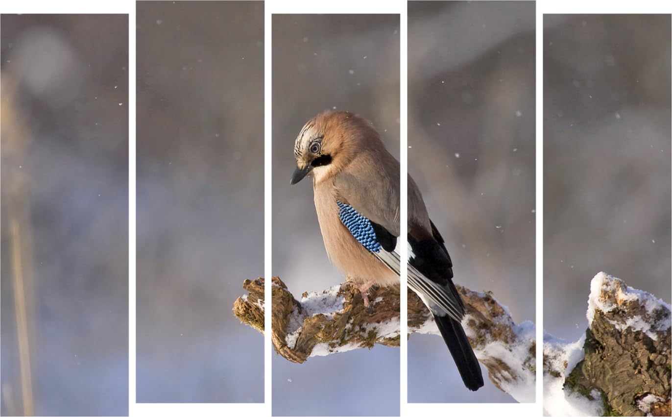 Image of Bird-iful Multi-Framed Wall Art Thatll Have Your Walls Chirping with Joy (150x76cm) featuring colorful birds