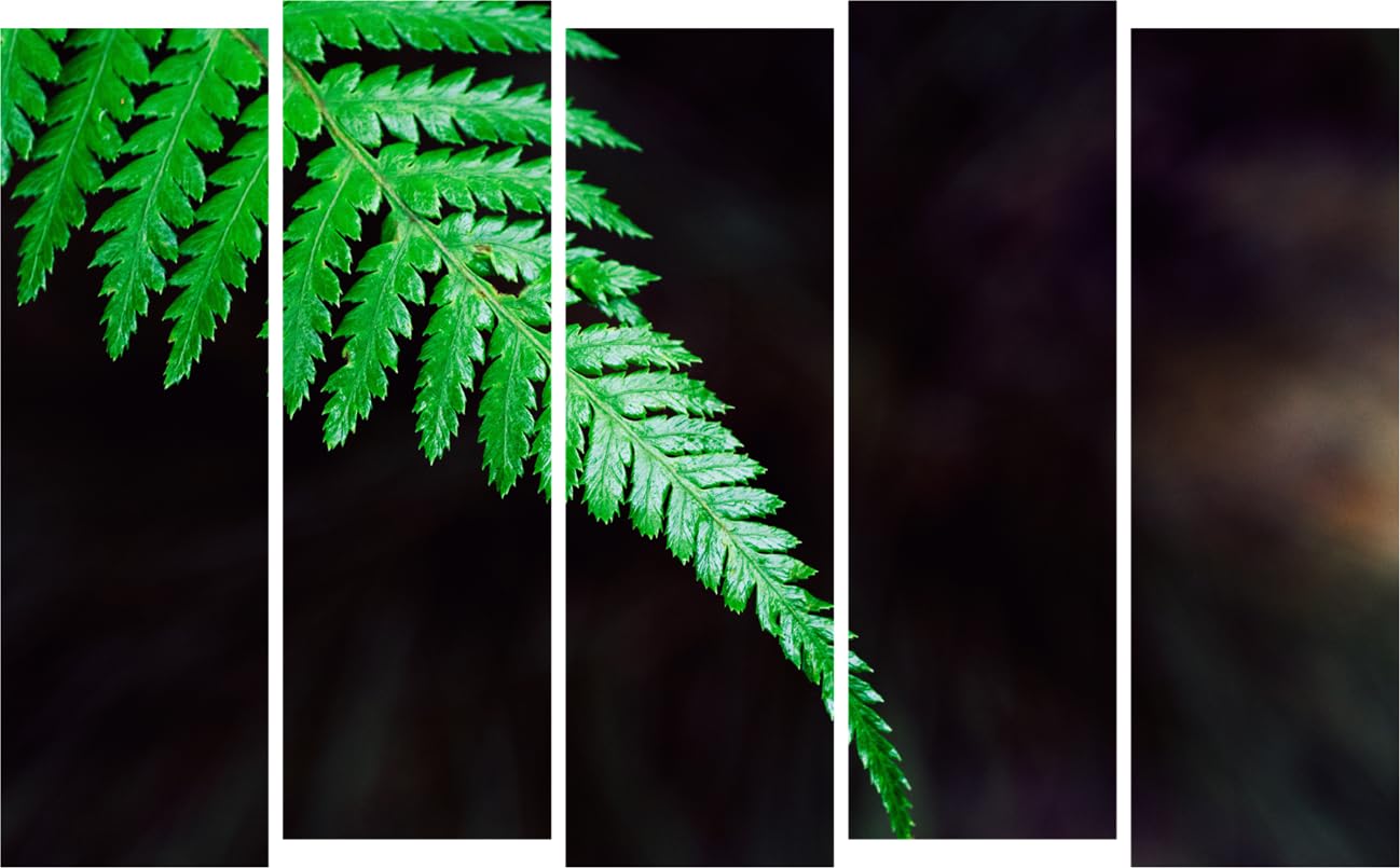 Leaf It to Me: Framed Photography Wall Art That'll Grow On You - Multi-Frame Delight (150x76cm)
