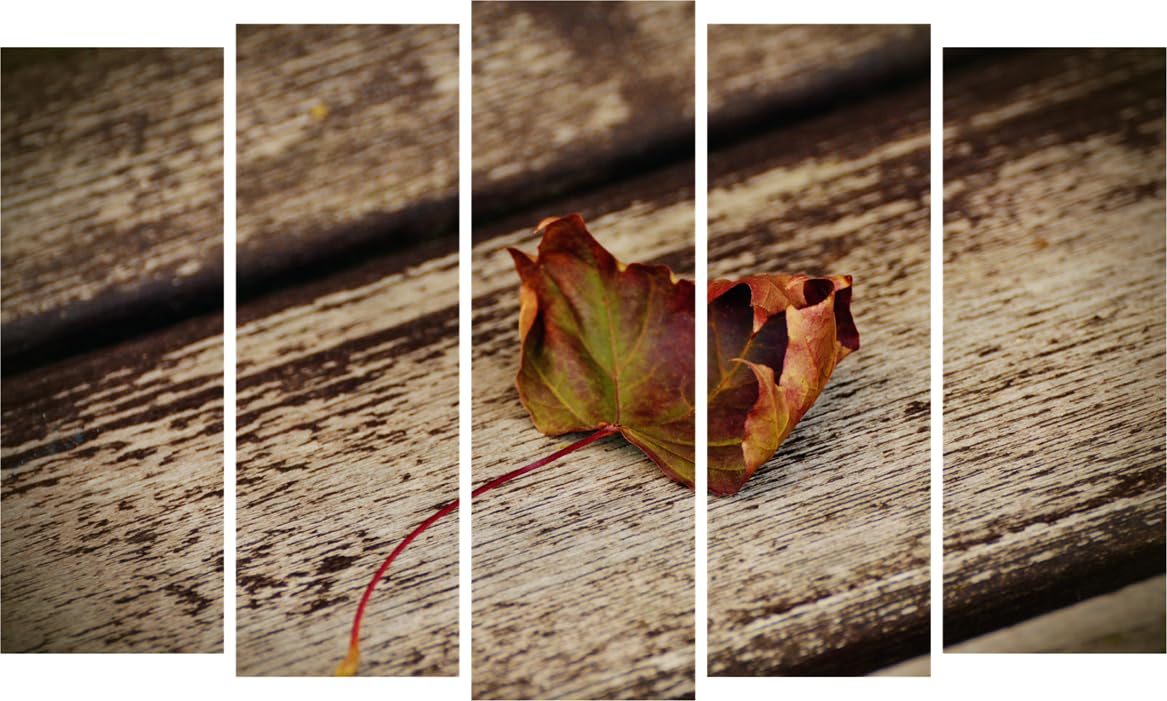 Leaf-tastic Multi-Frame Framed Leaf Photography Wall Art That'll Leaf Your Guests in Awe (150x76cm)