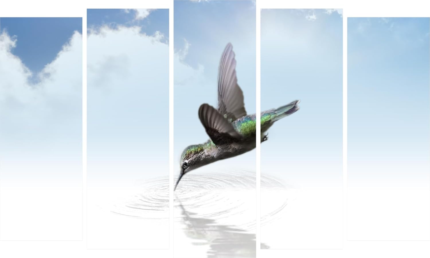Bird-Brained multi-frame Wall Art with colorful birds in flight across five frames