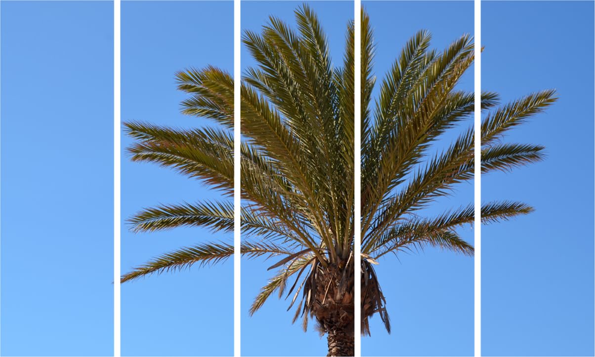 Palm Tree Paradise Photo Collage  5-Panel Framed Wall Art (150x76cm)