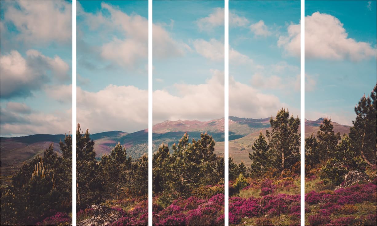 Land-and-Lovely Multi-Frame Wall Art showcasing a serene mountain landscape across five sleek wooden frames.