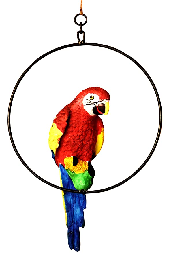 Buy Unique Hanging Parrot on Ring Showpiece – Vastu Approved Must
