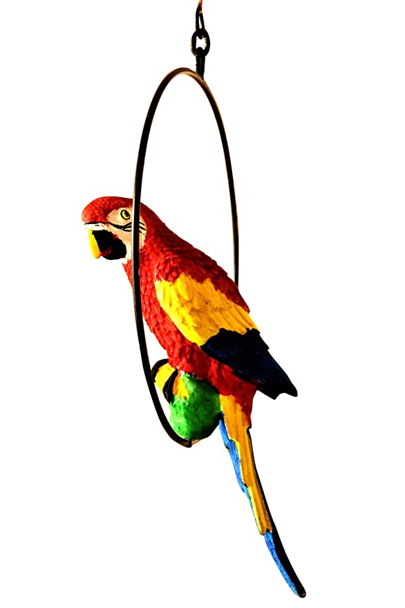 325794-best-hanging-parrot-showpiece-online-india.jpg