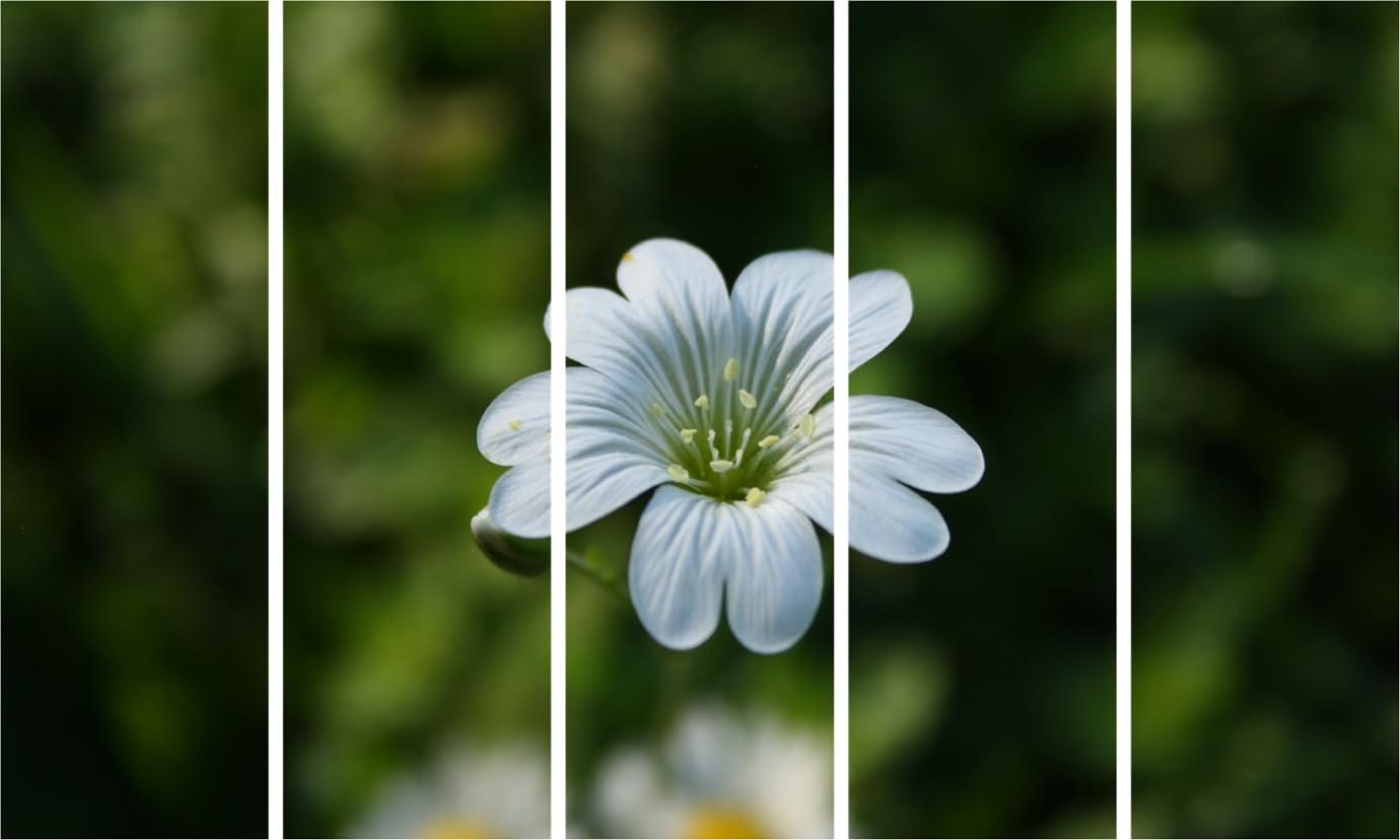 Close-up of Floral Fiesta Framed Wall Art blooming with colorful petals across five panels