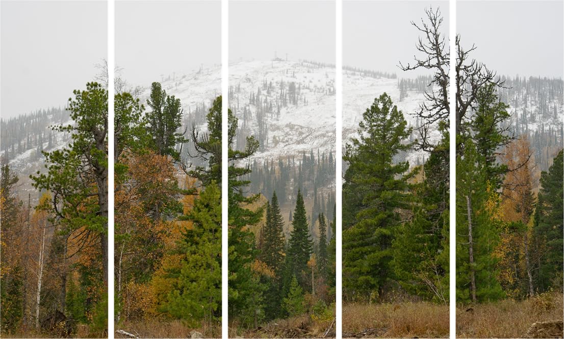 Mountain Majesty Framed Wall Art: 5-Panel Peak Escape