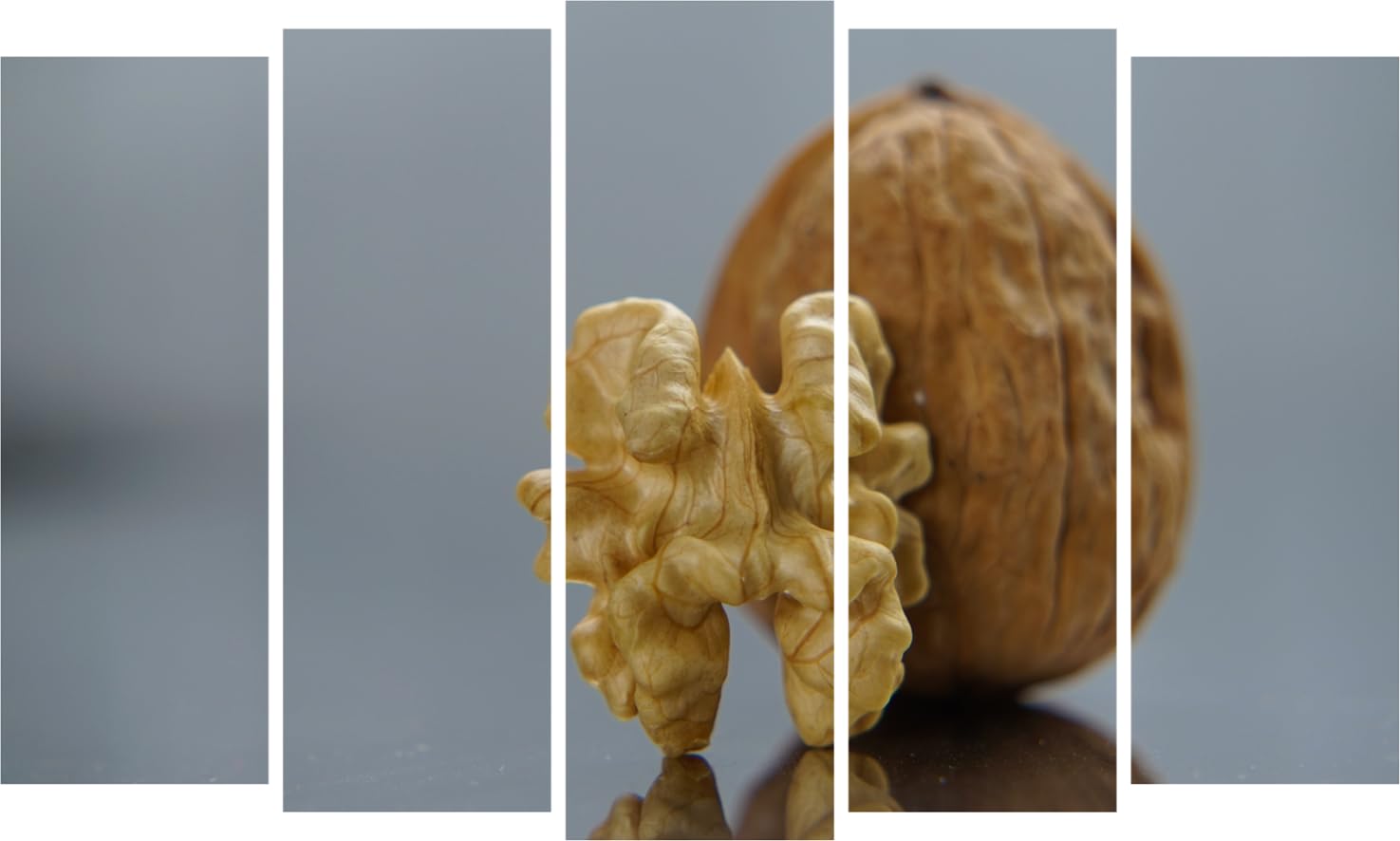 Walnut Wonderland: 5-Panel Photography Wall Art Framed to Make Walls Go Nuts (127x76cm)