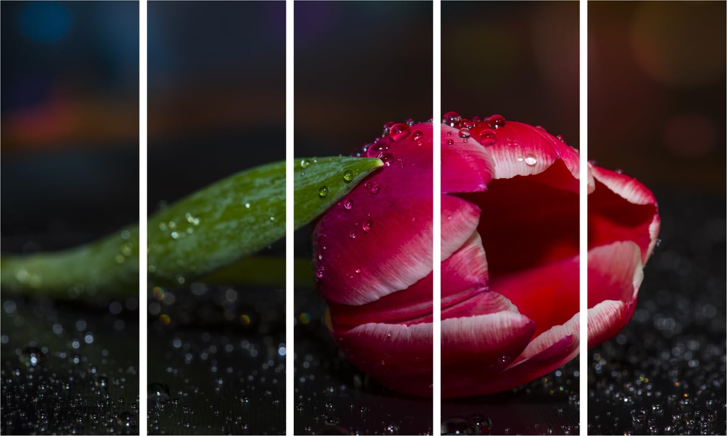 Petal-Powered Photo Framed Wall Art That'll Make Your Walls Bloom - Multi-Panel Floral Vibes (127x76cm)