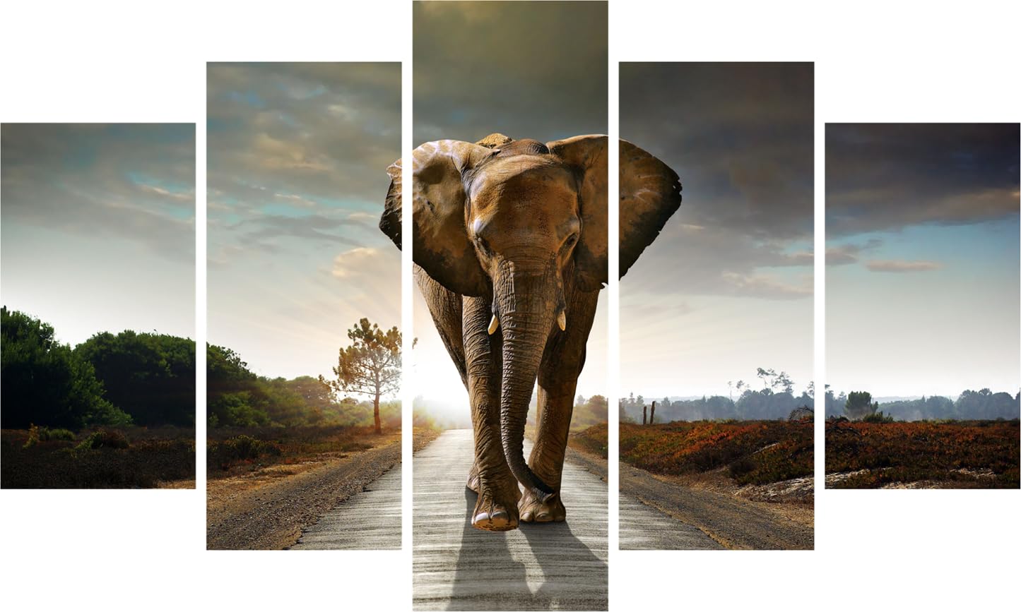 Elephant-astic 5-Panel Framed Wall Art showcasing a royal multicolour elephant design ready to hang