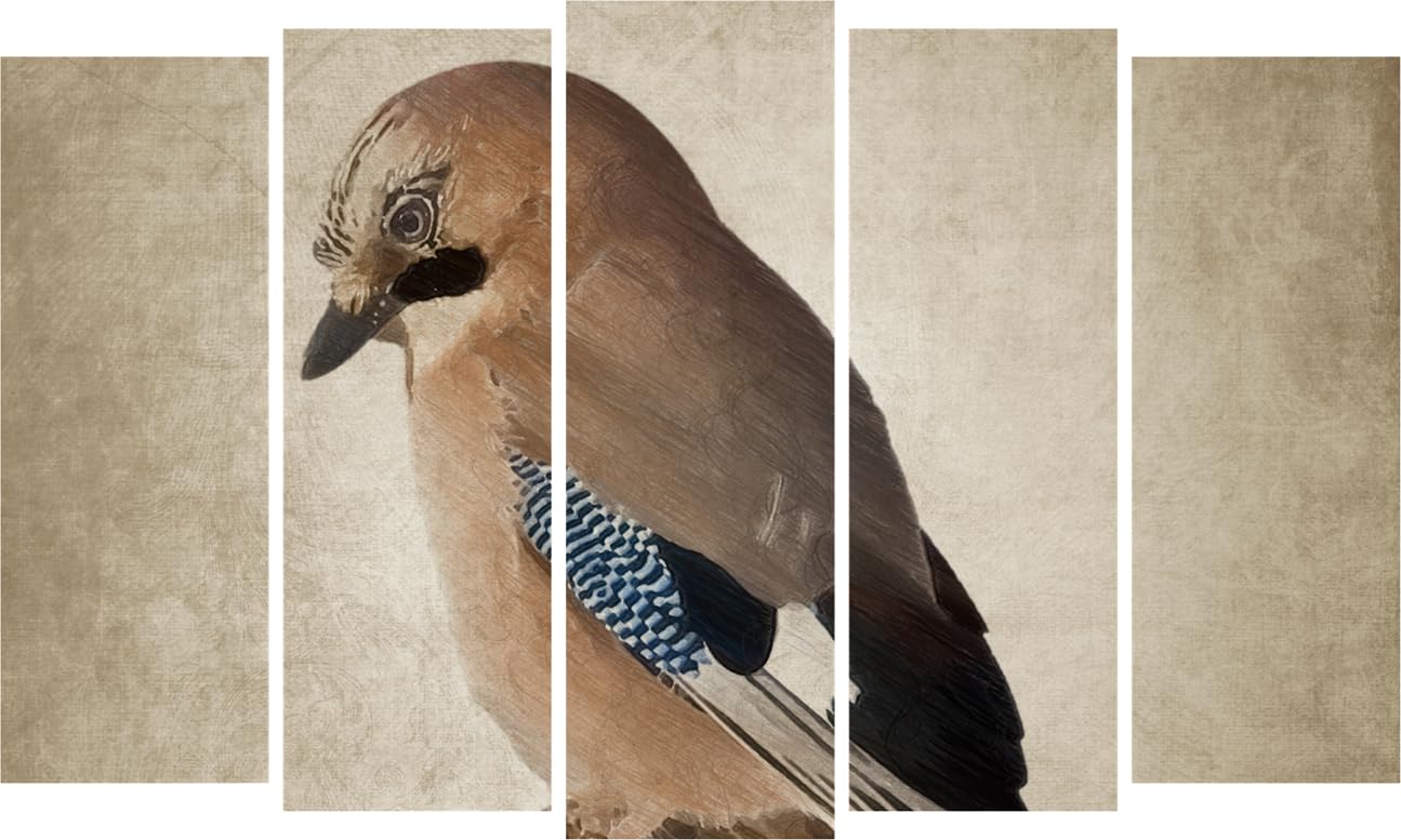 Vibrant Bird-tastic 5-Panel Feathered Friends Framed Wall Art hung above a sofa