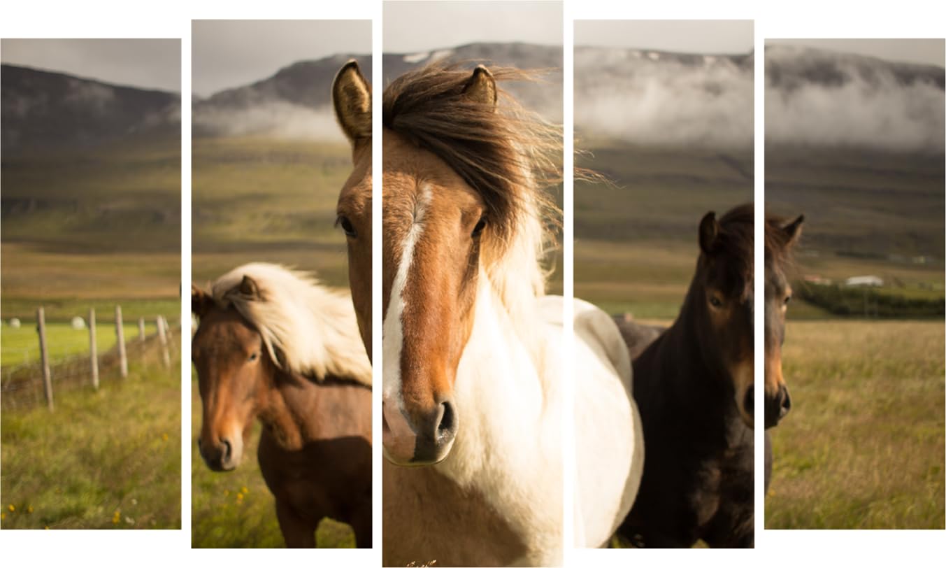 Neigh-Sayers Beware: Galloping Framed Horses Wall Art showing five sleek panels of running horses.