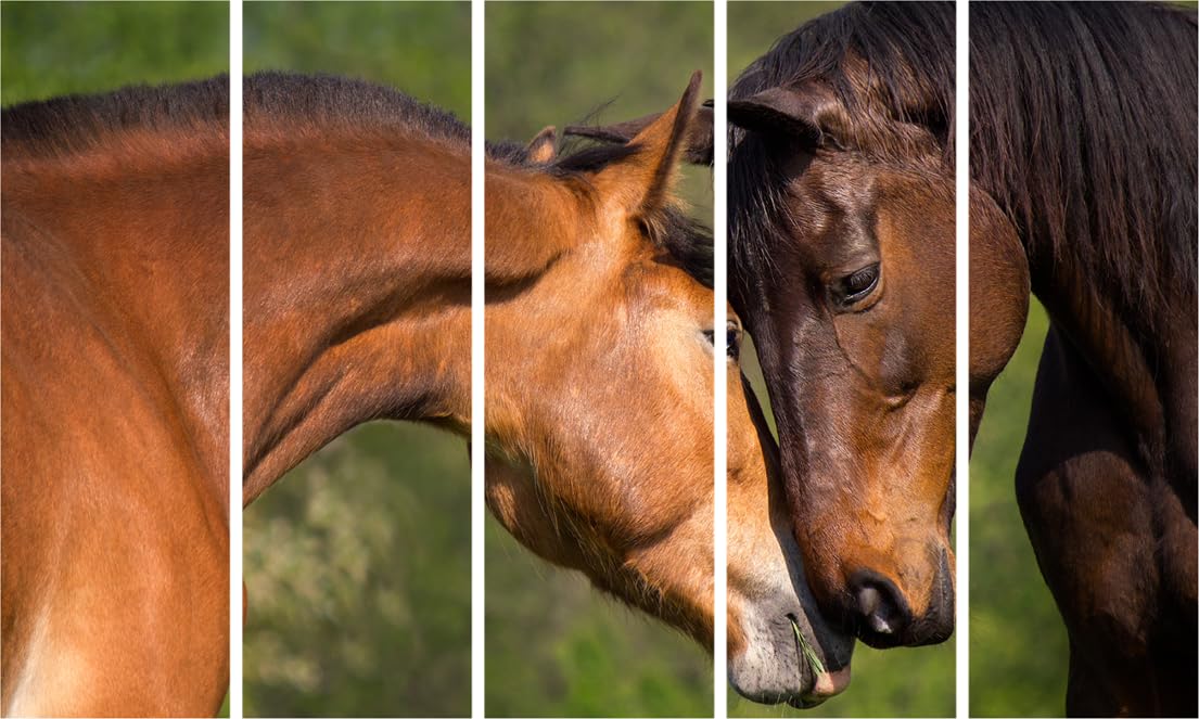 Neigh-sayers Welcome 5-Frame Horses Wall Art displayed in modern living room