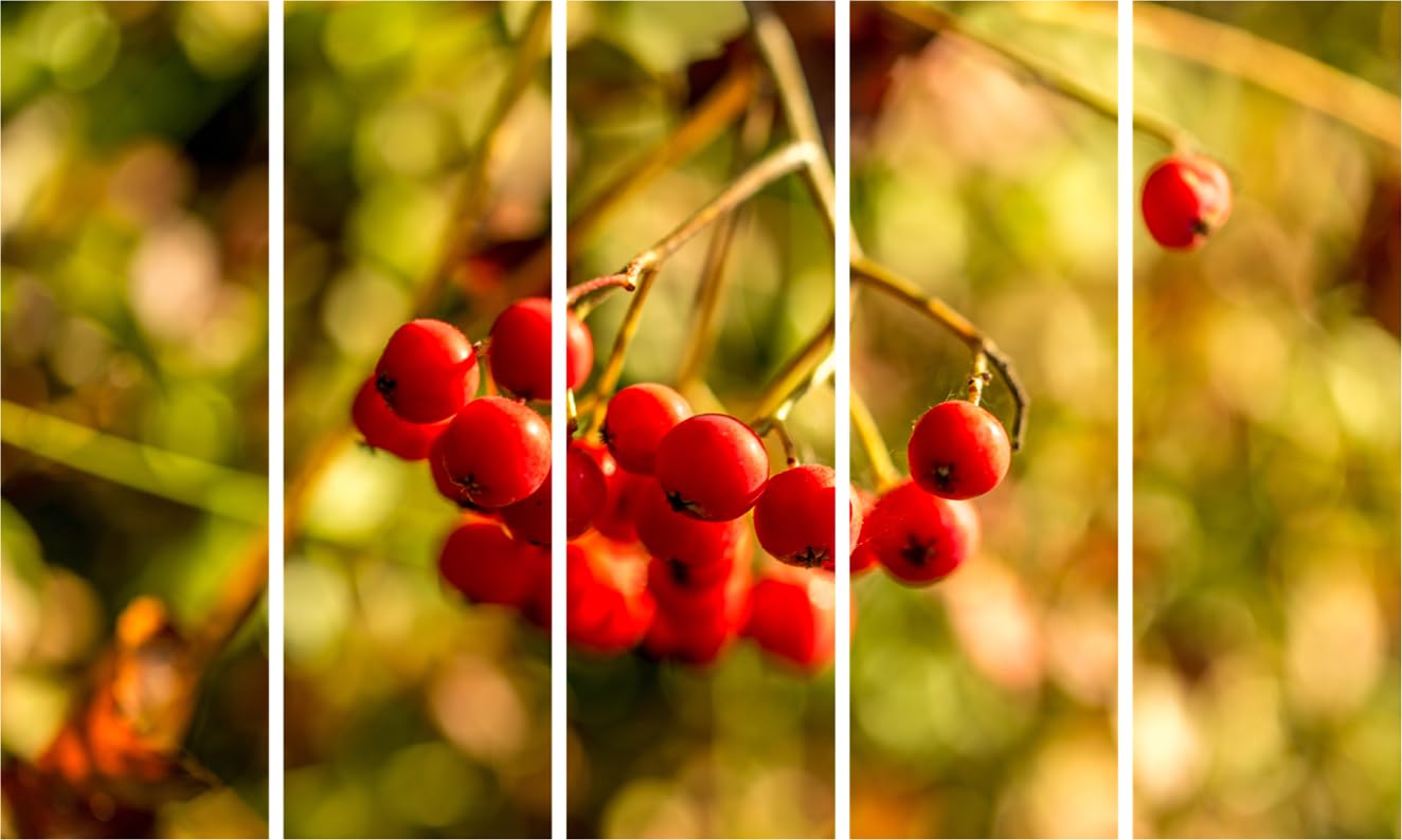 Berry Bliss Photography Framed Wall Art featuring a vibrant multi-panel display of berries