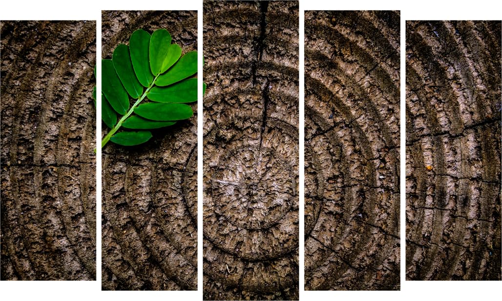 Leafy Whispers: Framed Photography Wall Art That Sprouts Smiles