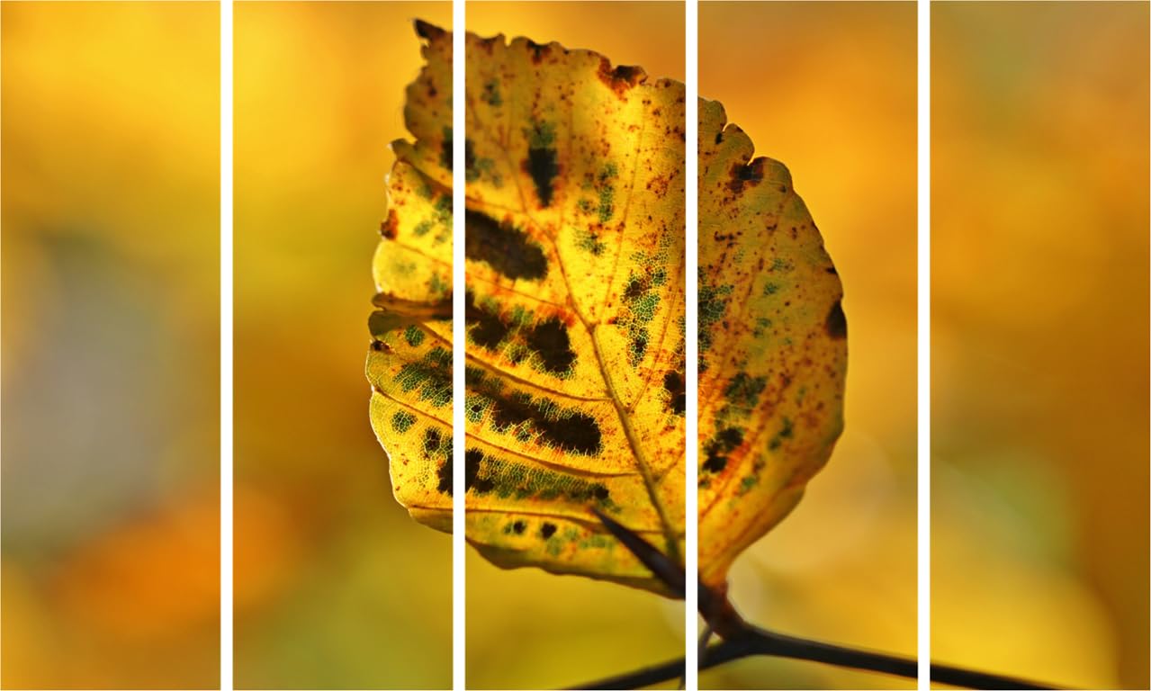 Leaf It to Us: Framed Photography Wall Art