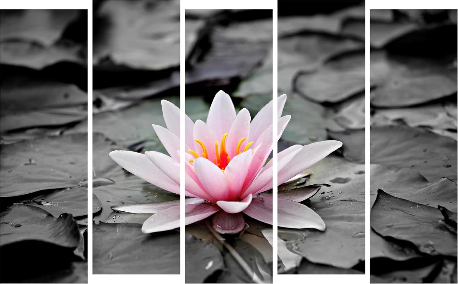 Bloom-tastic Floral Fiesta Photography Framed Wall Art hung above a cozy sofa