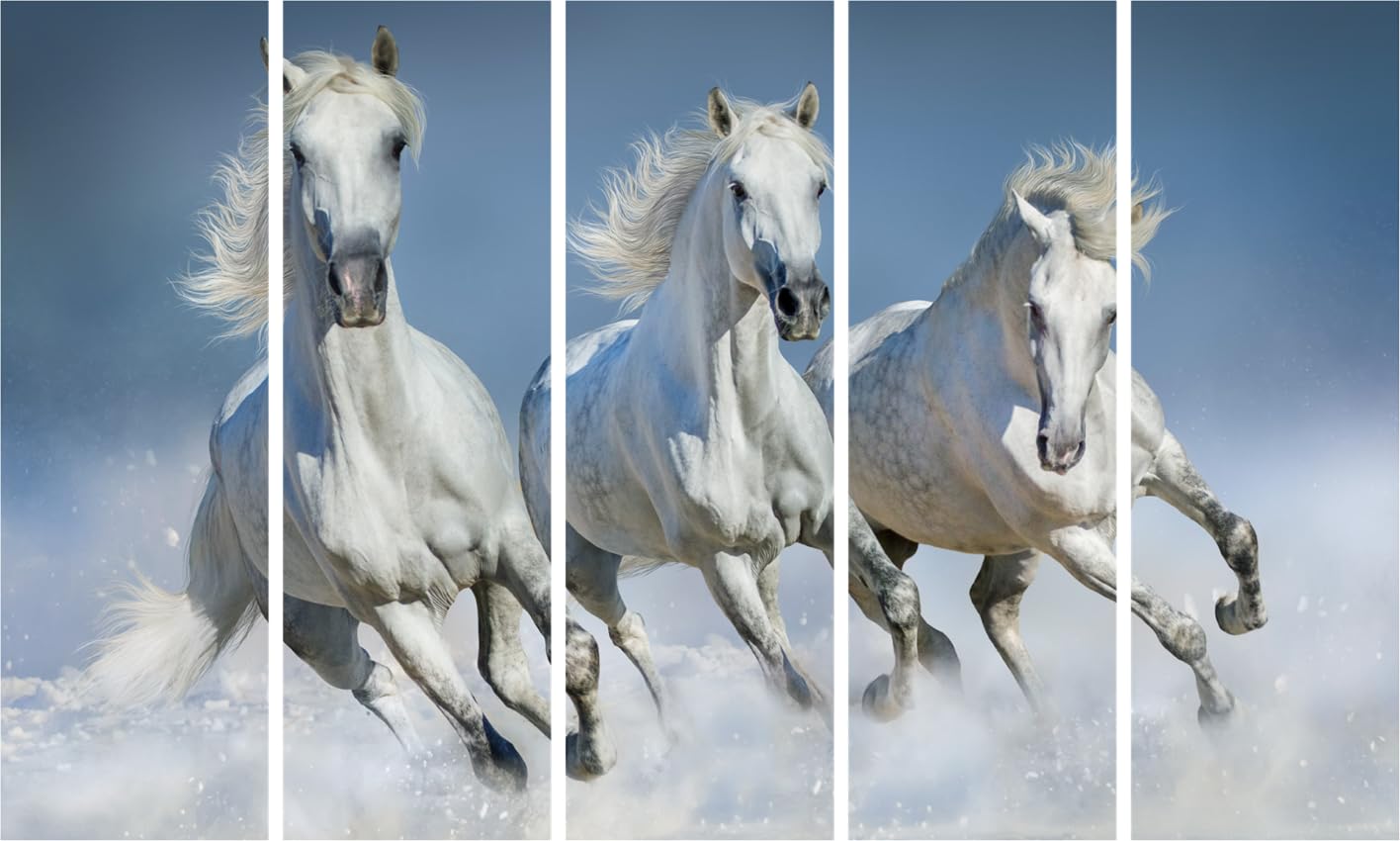 Gallop to Good Vibes: 5-Panel Vastu Framed Horse Wall Art to Stampede Your Space (150x76cm)