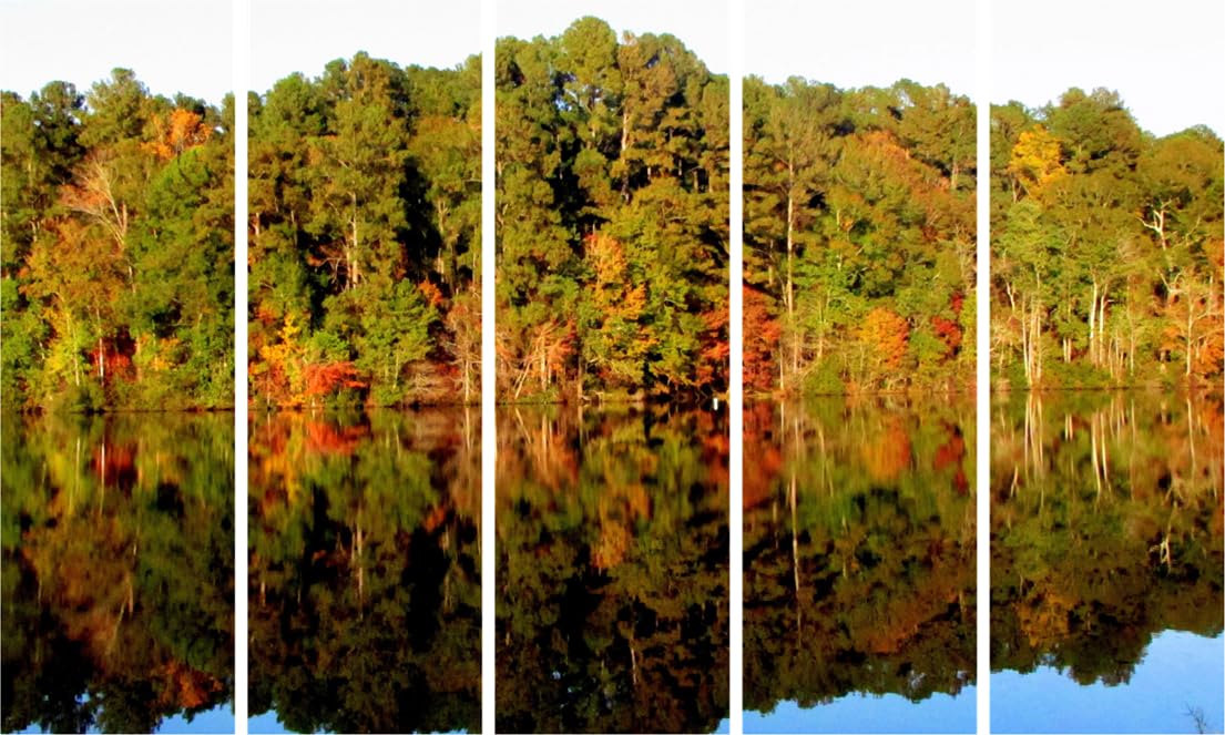 Nature's Symphony Multi-Frame Wall Art That'll Have Your Walls Singing (150x76cm Framed)