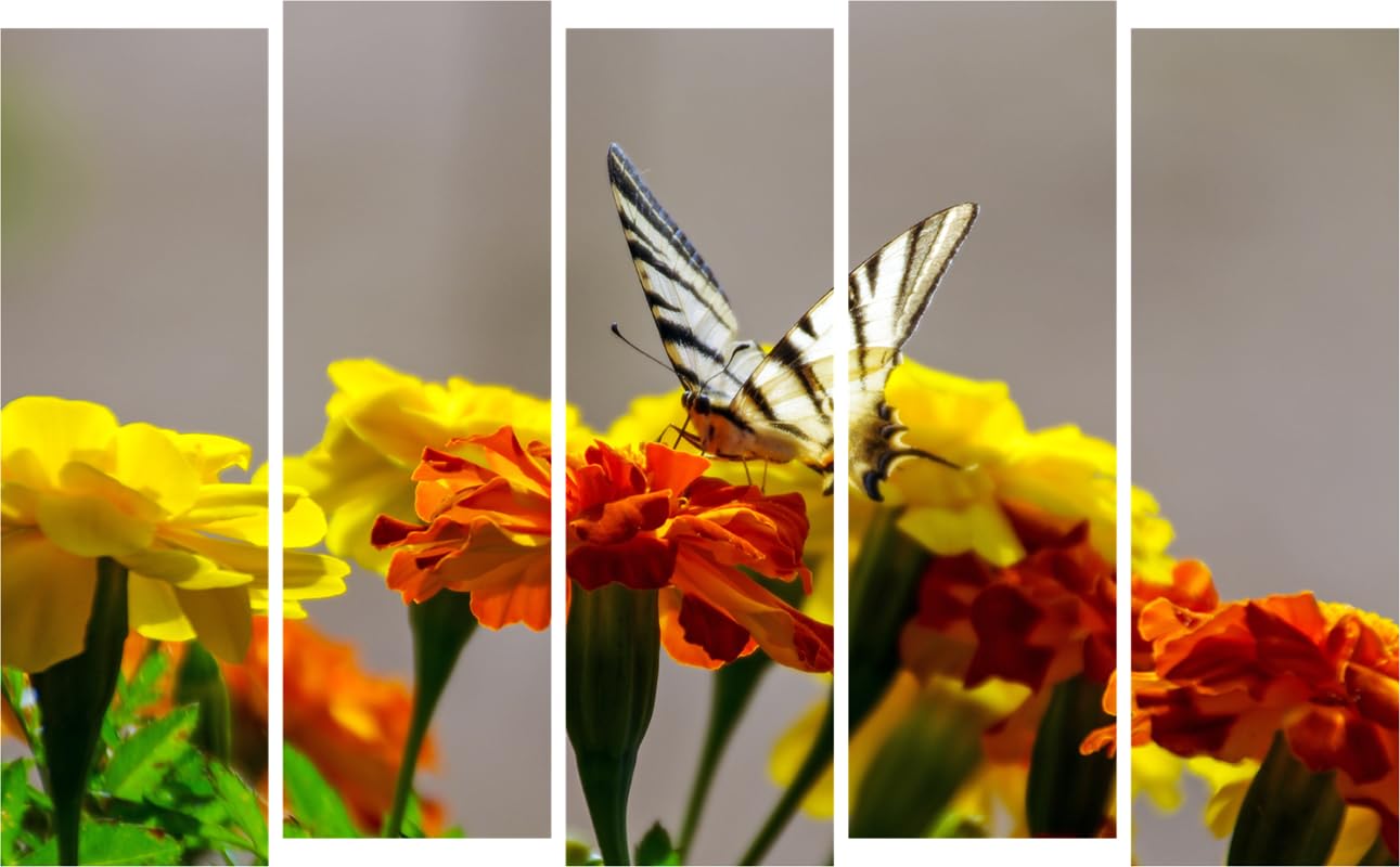 Flower-tastic 5-Panel Wall Art That'll Make Your Space Bloom - Framed Floral Photography on MDF (127x76cm)