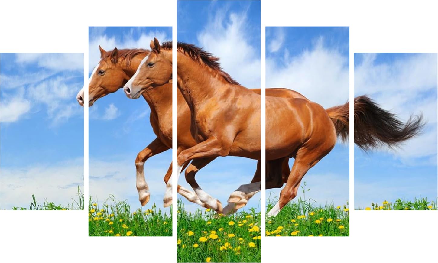 Gallop Into Good Vibes: Multi-Frame Horse Vastu Framed Wall Art displayed on a white wall, five panels of horses in motion.