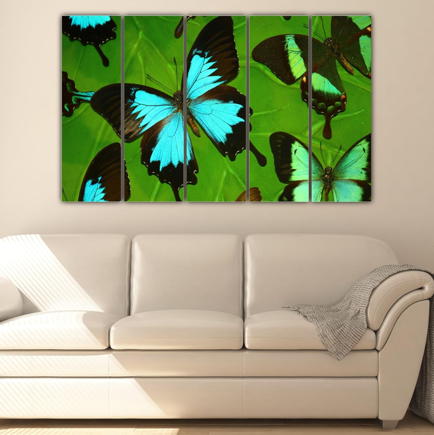 Close-up of vibrant multicolour butterfly photography on framed wall art panels