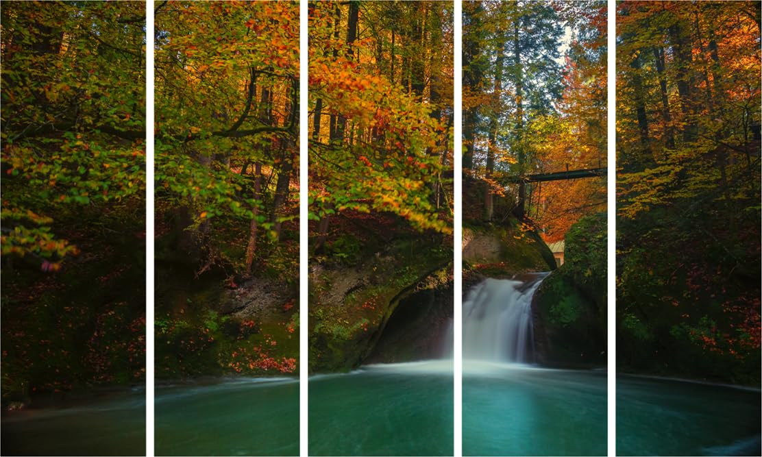 Nature-nificent 5-Panel Framed Photography Wall Art