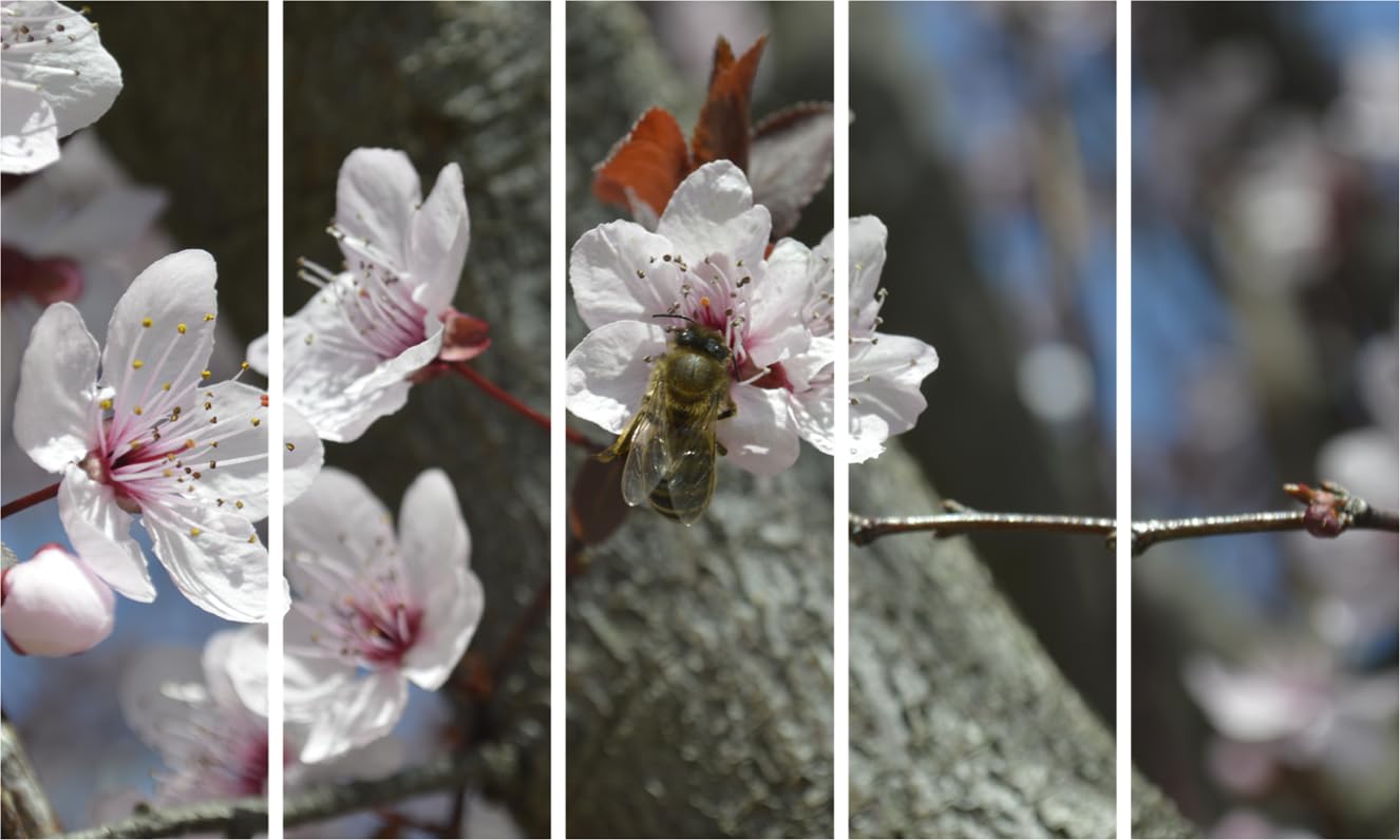 Image of Bee-utiful Buzz: Multiframe Bee & Leaves Framed Wall Art To Brighten Your Space hung above a stylish living room sofa.