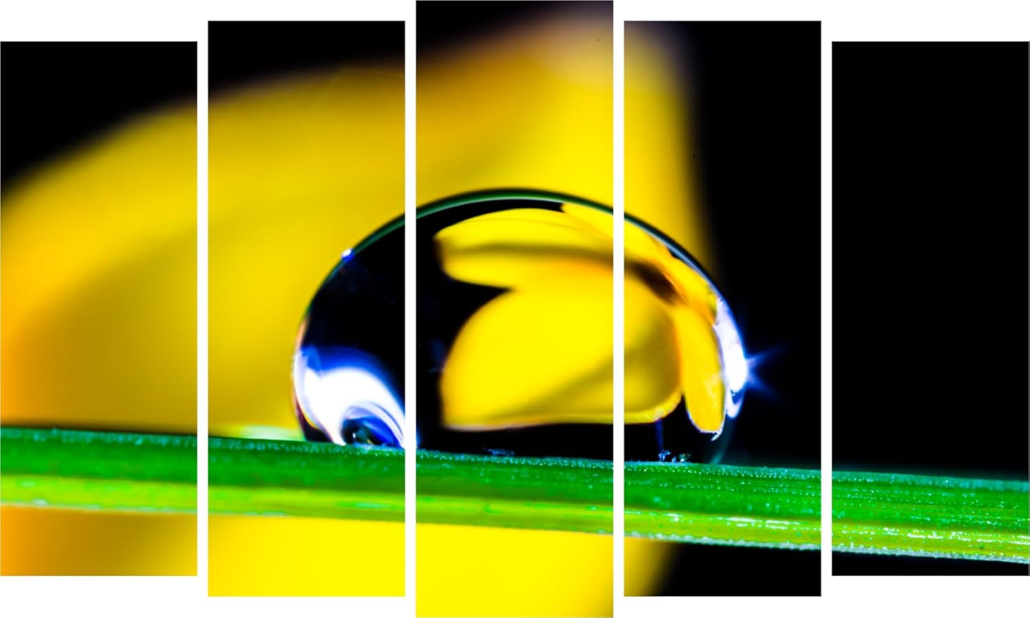 Droplet Delights Photography: Framed Wall Art that Wows