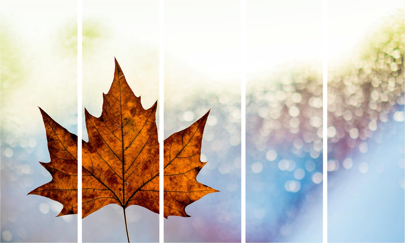 Leafy Laughter Photography: Framed Multicolor Wall Art