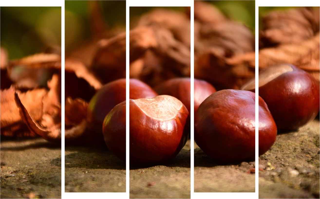 Chestnut-tastic 5-Panel Photography Framed Wall Art That'll Make Your Walls Blush (150x76cm)