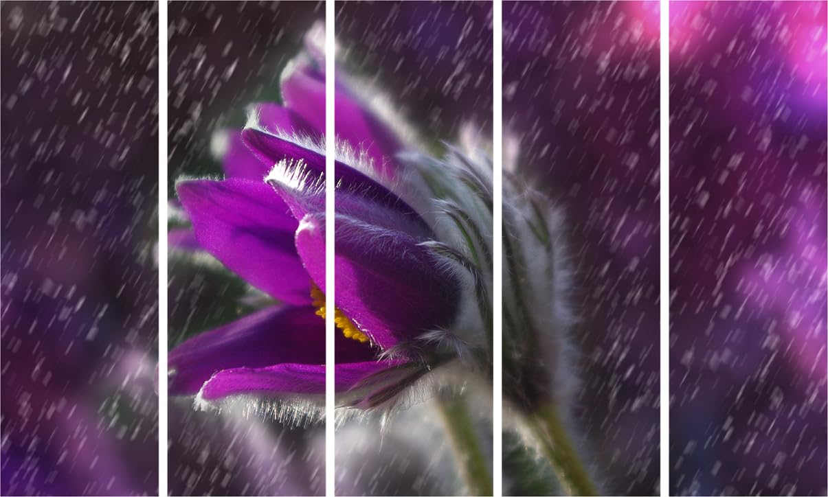 Purple Blooms-tastic 5-Panel Framed Wall Art to Make Your Walls Blossom
