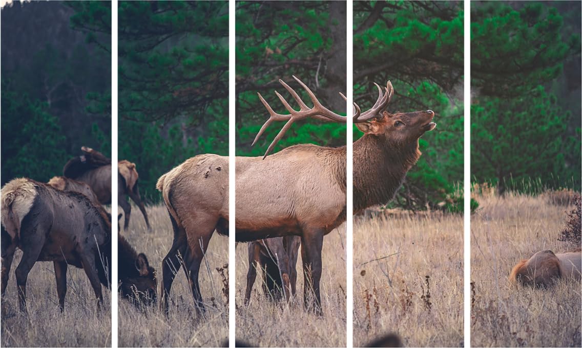 Deer-lightful Swamp Deer Multi-Frame Wall Art displayed above a modern sofa