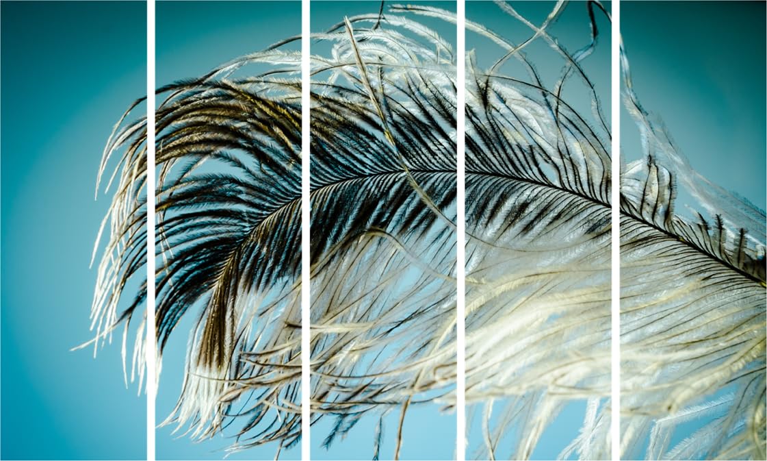 Peacock-tastic Feather Fanfare Framed Wall Art showcasing vibrant multicolour peacock feathers across five panels.