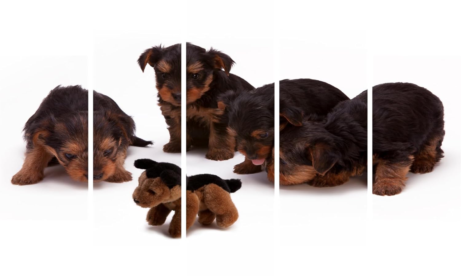 Puppy-tastic Framed Multi-Panel Wall Art That'll Make Tails Wag (127x76cm)