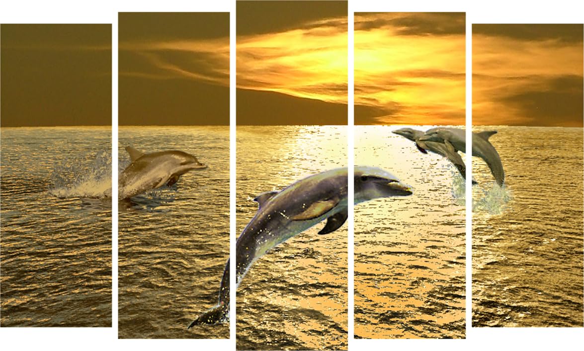 Dolphin-bulous Multi-Frame Framed Wall Art That'll Make Waves in Your Room showcasing dancing dolphins