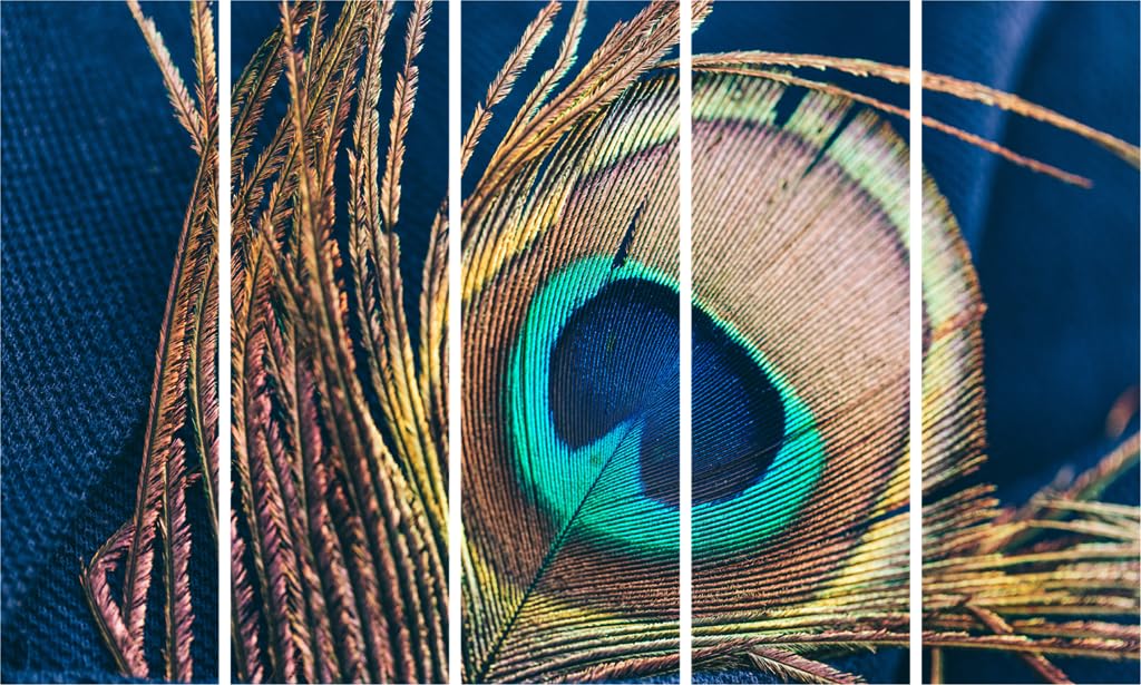 Multi-frame peacock feather photography Wall Art displayed above a modern sofa